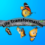 Life Transformation Butterfly's